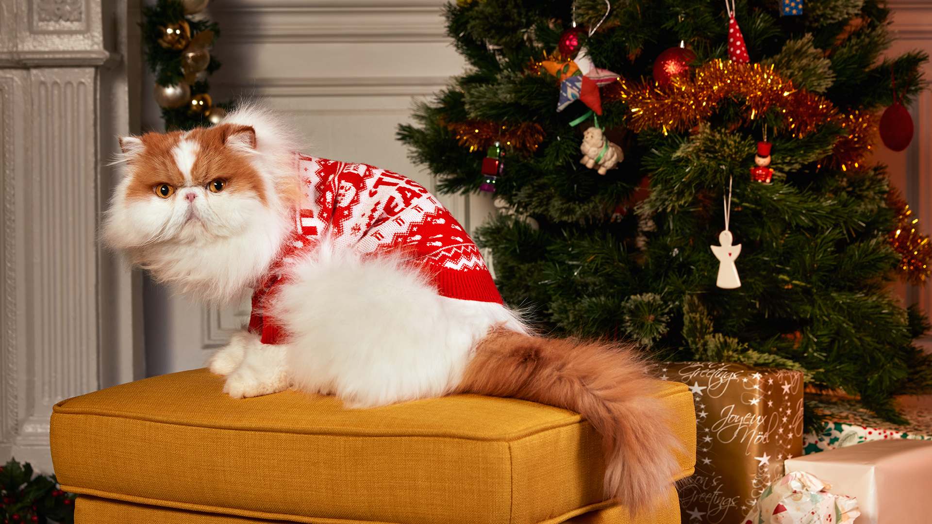 KFC Has Brought Back Its Ugly Sweaters for Humans and Pets for More Christmas in July Merriment